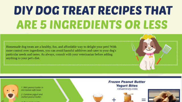 DIY Dog Treat Recipes